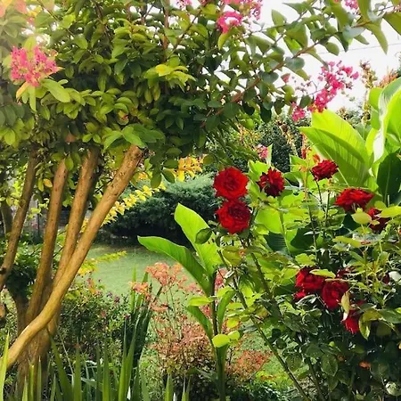 Au Boom Coeur Forfait Et Petit Dejeuner Inclus * Tourtenay