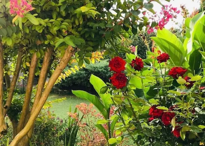 Au Boom Coeur Forfait Et Petit Dejeuner Inclus * Tourtenay