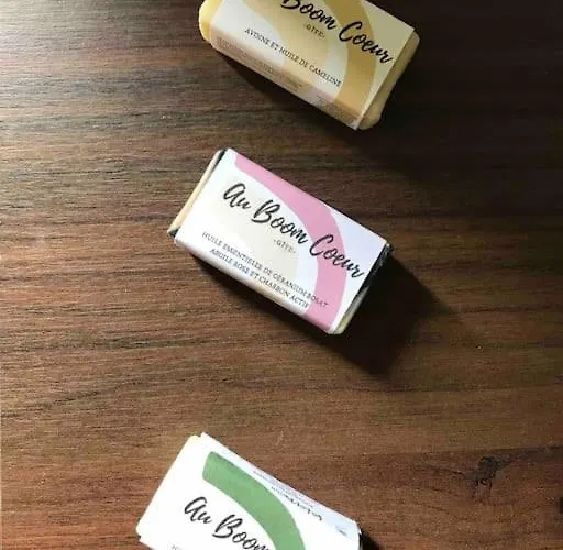 Au Boom Coeur Forfait Et Petit Dejeuner Inclus 度假居 Tourtenay